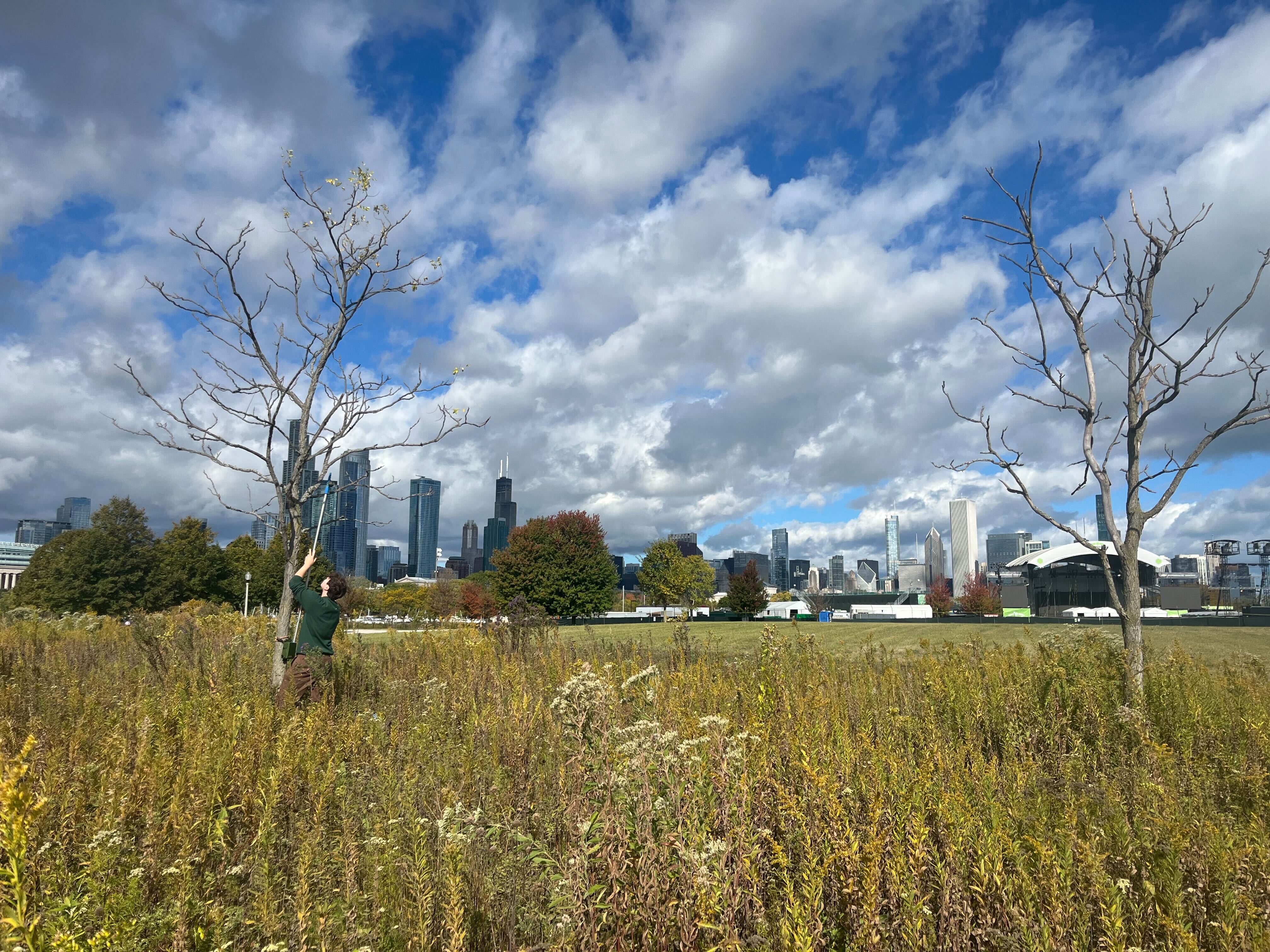 me setting up acoustic bat monitoring equipment for UWI