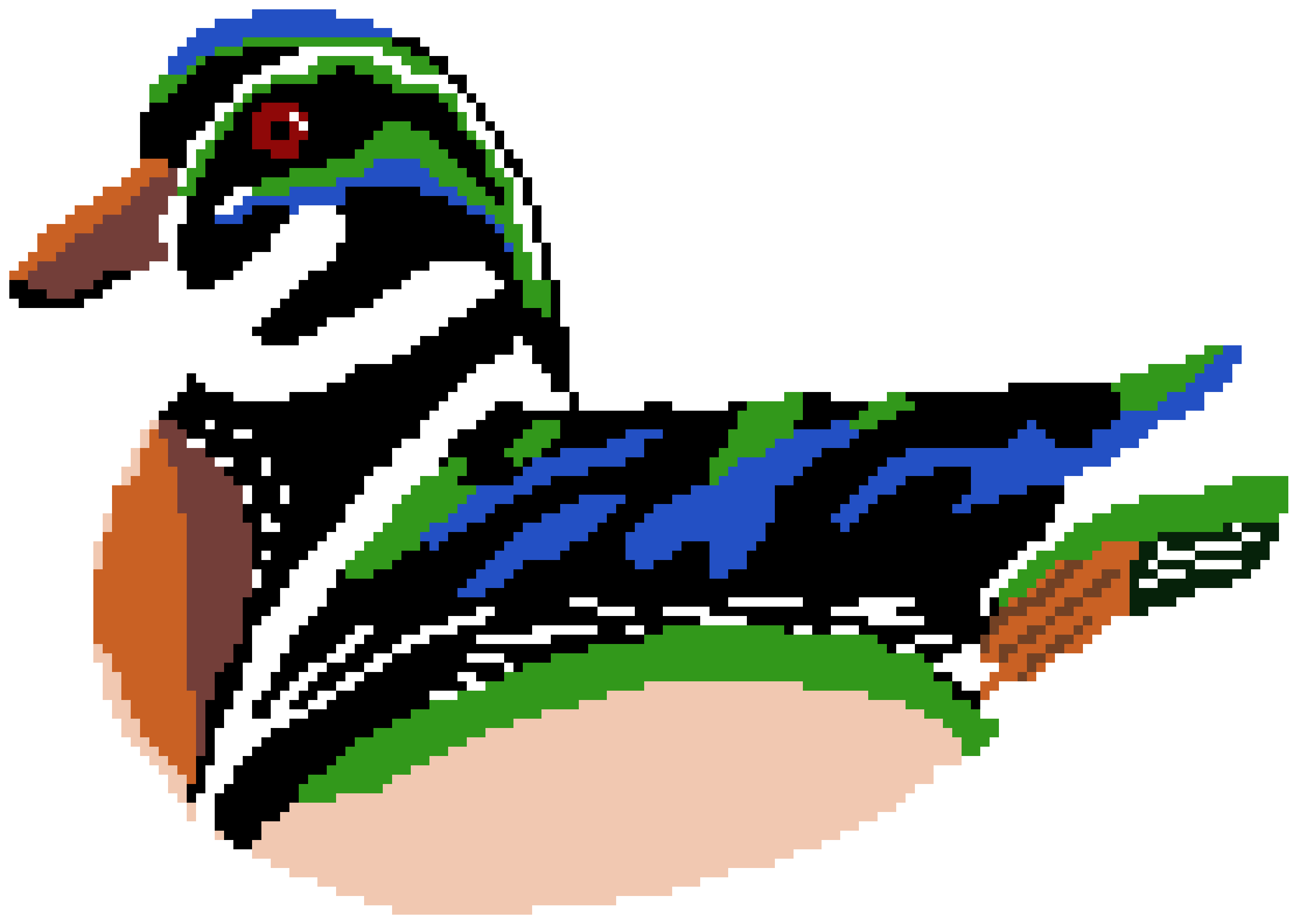 Pixel wood duck